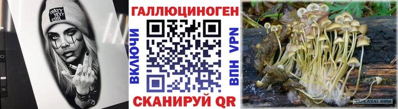 Галлюциногенные грибы Psilocybe где купить наркотик Билибино